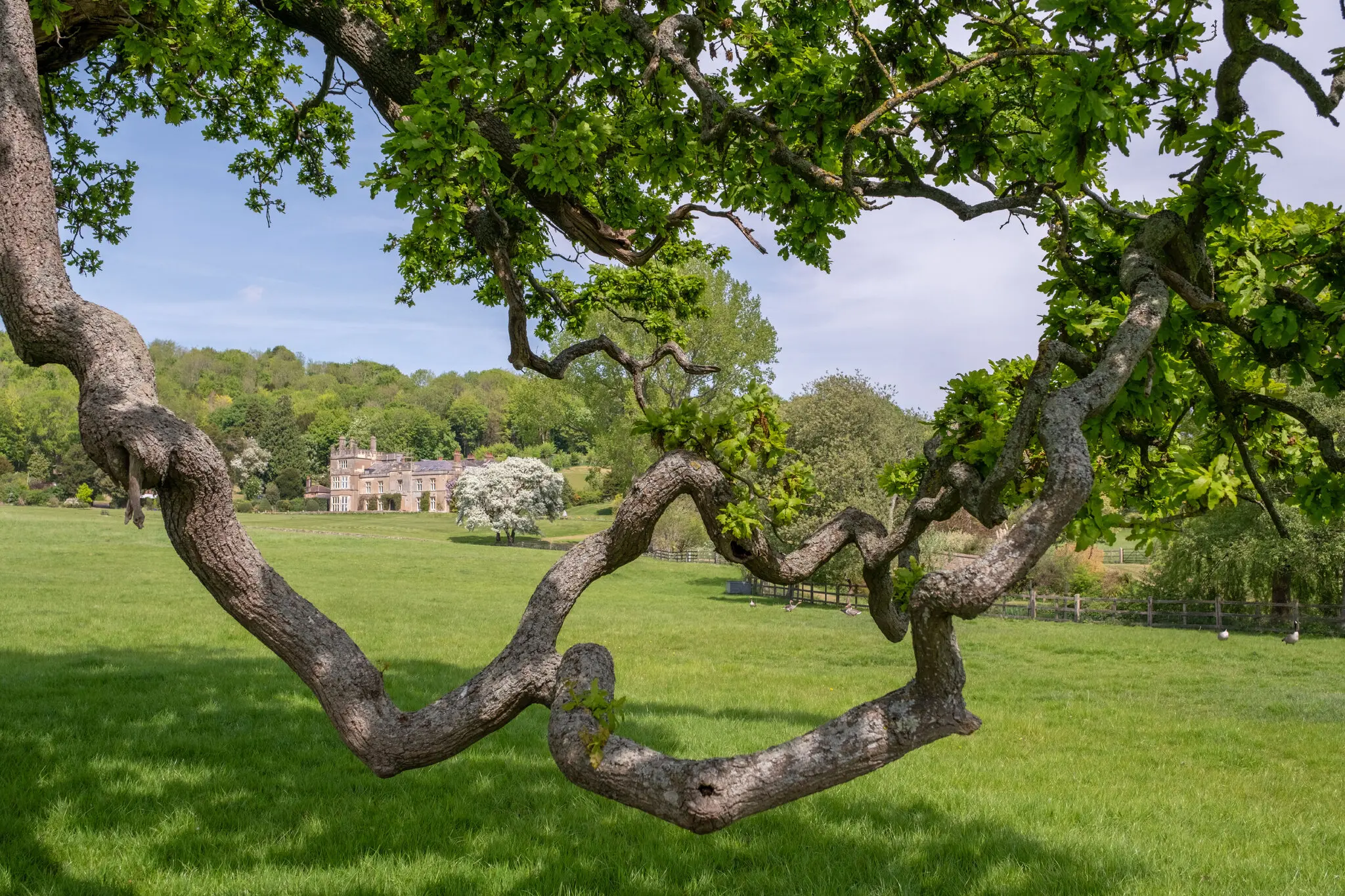 Особняк на Тітсі Плейс, який видно з великої території, датується 1775 роком і його можна оглянути.